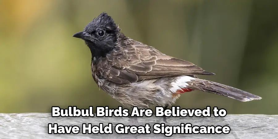 Bulbul Birds Are Believed to Have Held Great Significance