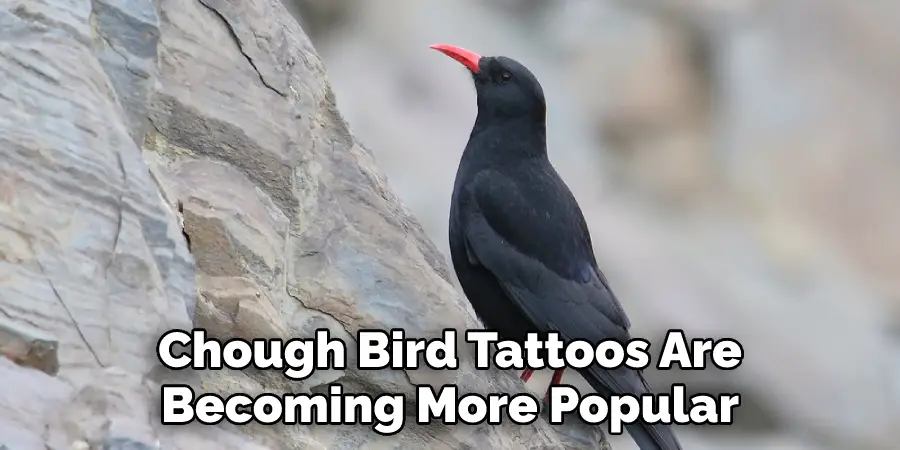 Chough Bird Tattoos Are
Becoming More Popular