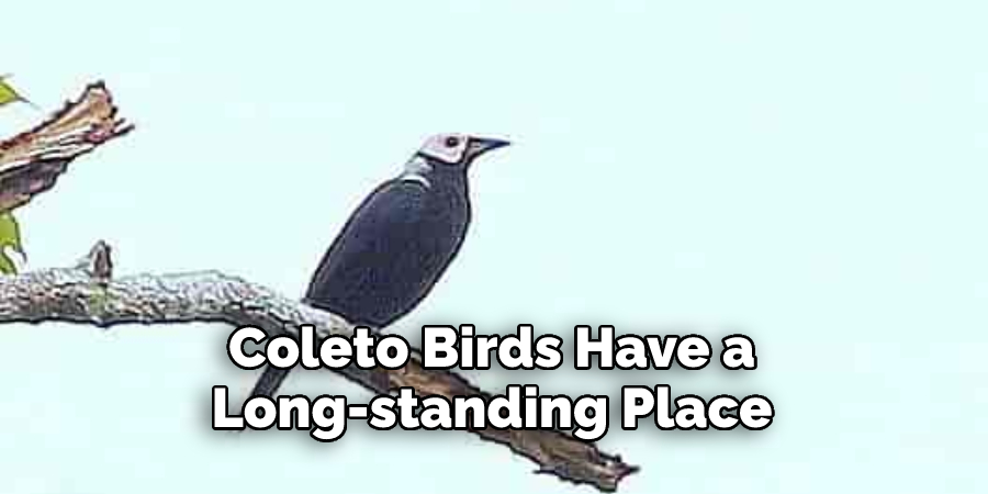Coleto Birds Have a 
Long-standing Place