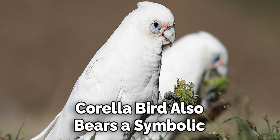 Corella Bird Also 
Bears a Symbolic 