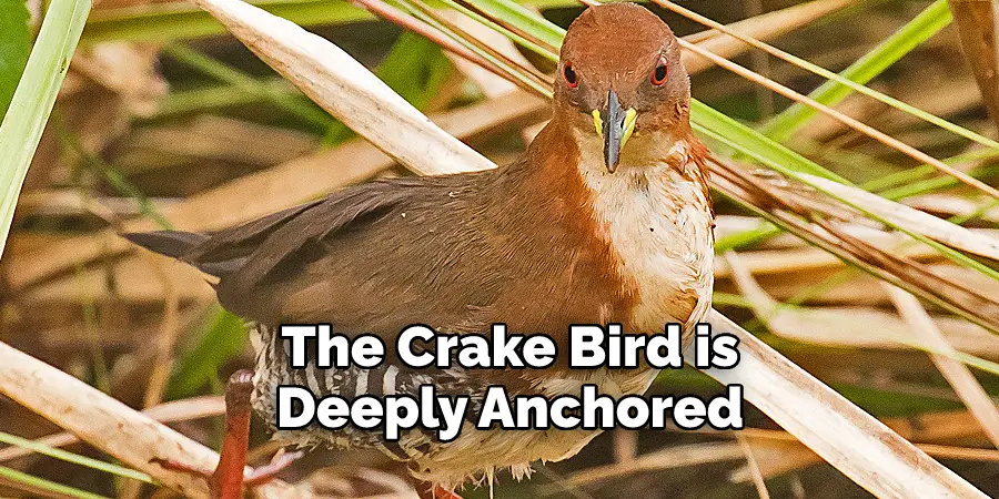 Crake is Seen as a 
Symbol of Strength
