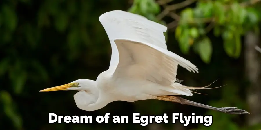 Dream of an Egret Flying