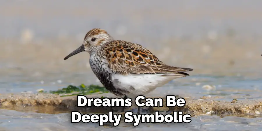 Dreams Can Be Deeply Symbolic