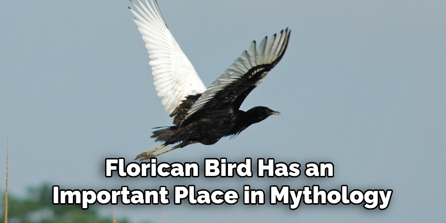 Florican Bird Has an Important Place in Mythology