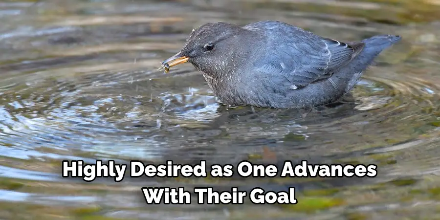 Highly Desired as One Advances With Their Goal