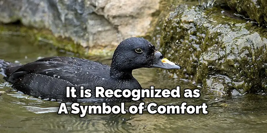  It is Recognized as 
A Symbol of Comfort
