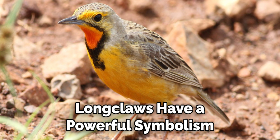 Longclaws Have a Powerful Symbolism