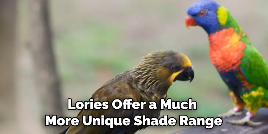 Lories Offer a Much More Unique Shade Range