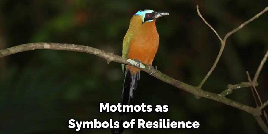 Motmots as Symbols of Resilience