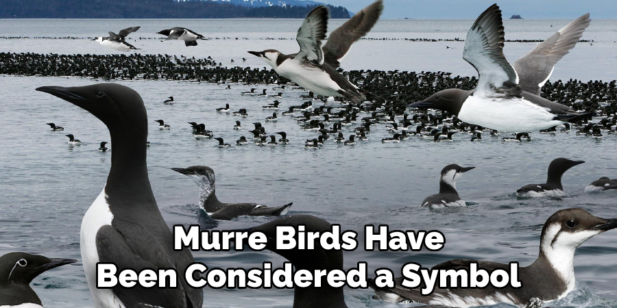 Murre Birds Have Been Considered a Symbol