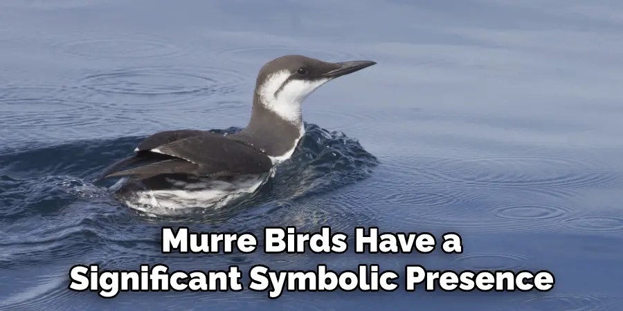 Murre Birds Have a
Significant Symbolic Presence