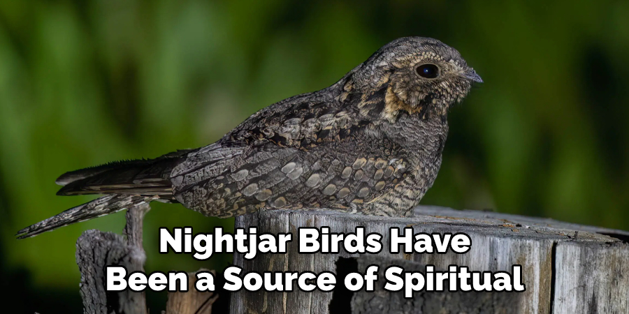 Nightjar Birds Have
Been a Source of Spiritual