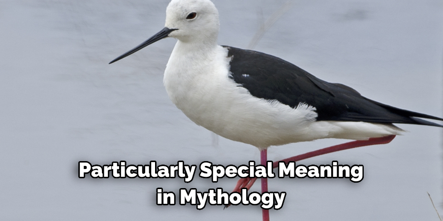 Particularly Special Meaning in Mythology