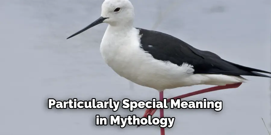 Particularly Special Meaning in Mythology