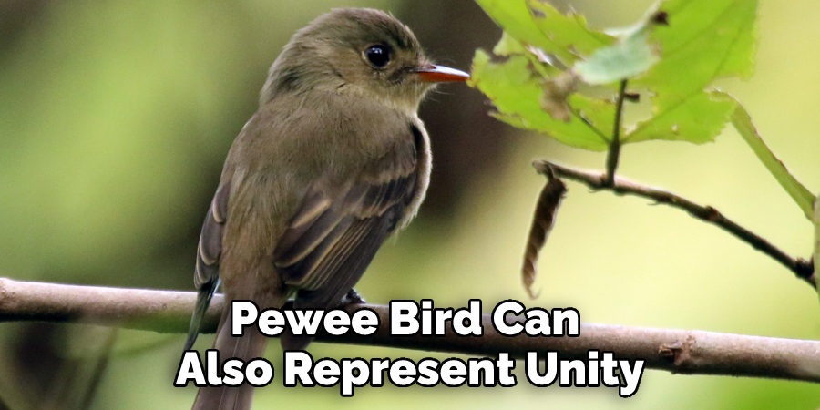Pewee Bird Can 
Also Represent Unity