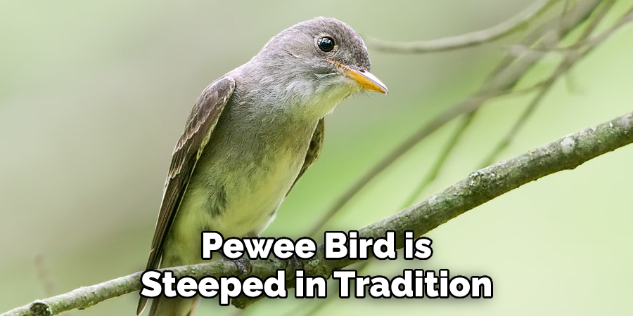 Pewee Bird is 
Steeped in Tradition