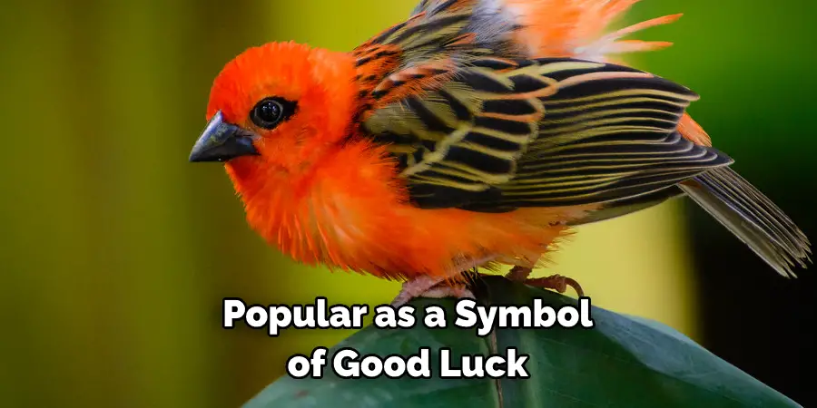 Popular as a Symbol of Good Luck