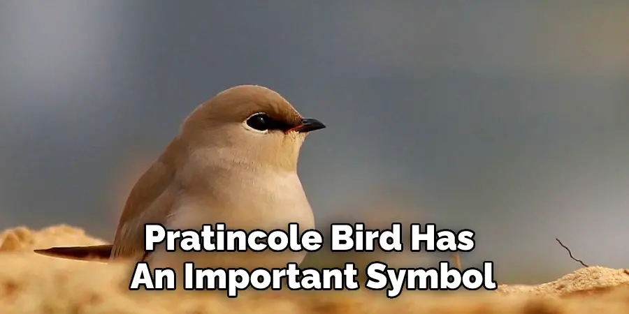 Pratincole Bird Has 
An Important Symbol