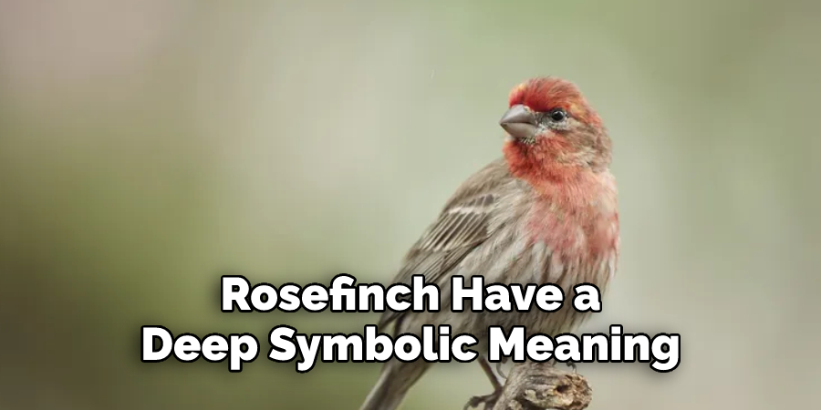 Rosefinch Have a 
Deep Symbolic Meaning