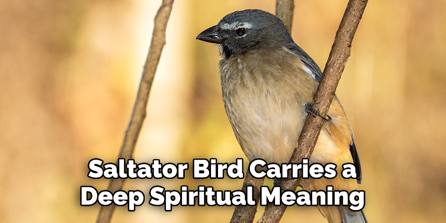 Saltator Bird Carries a 
Deep Spiritual Meaning