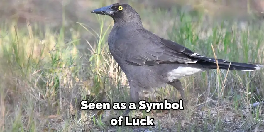 Seen as a Symbol of Luck