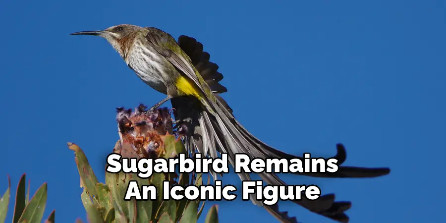 Sugarbird Remains 
An Iconic Figure 