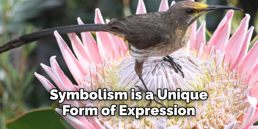 Symbolism is a Unique 
Form of Expression 
