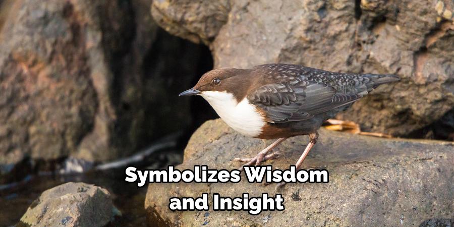 Symbolizes Wisdom and Insight