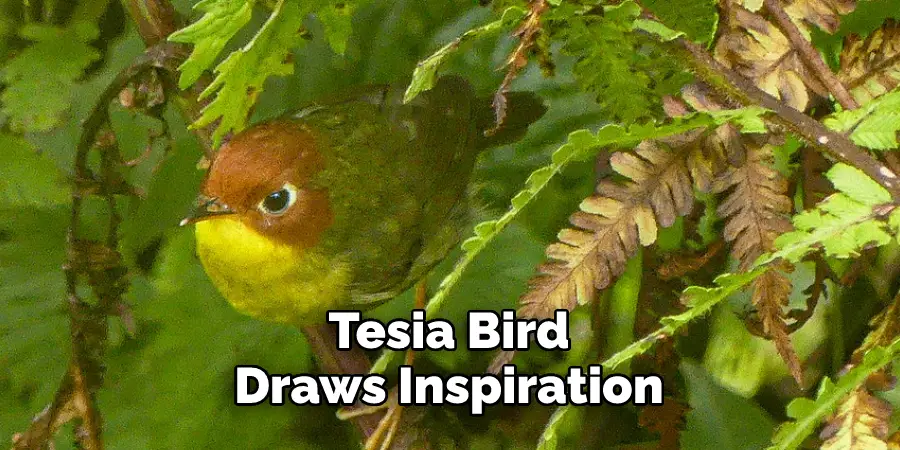 Tesia Bird Draws Inspiration