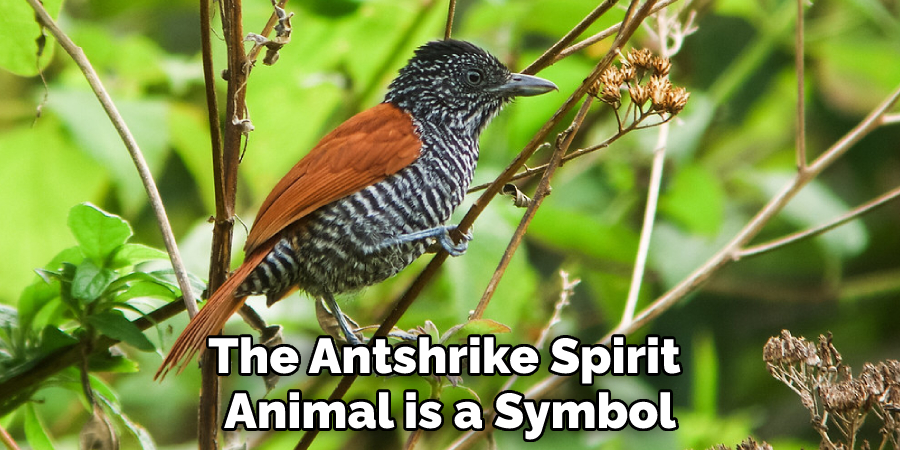 The Antshrike Spirit Animal is a Symbol