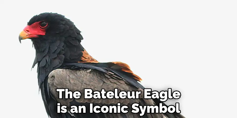 The Bateleur Eagle is an Iconic Symbol