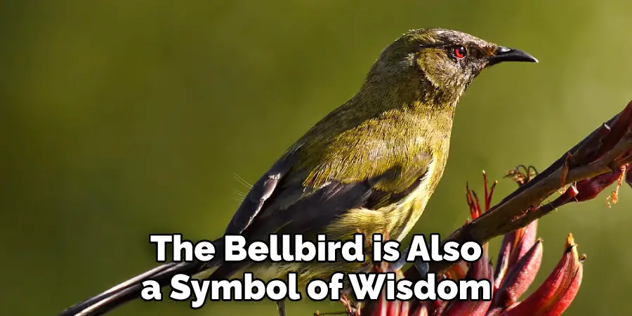 The Bellbird is Also a Symbol of Wisdom
