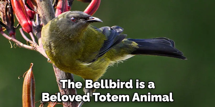 The Bellbird is a Beloved Totem Animal