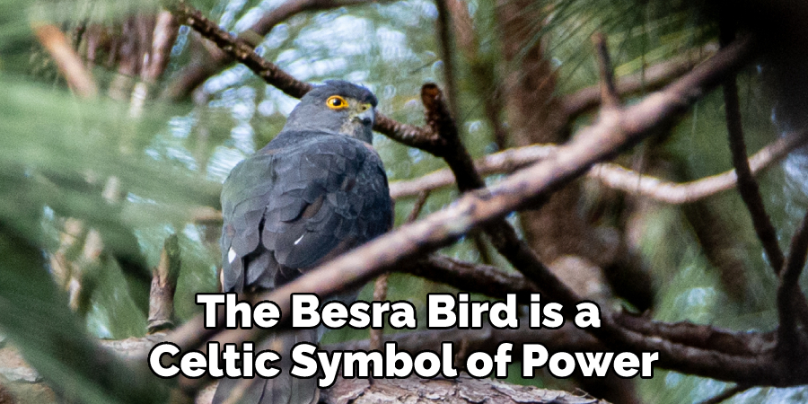 The Besra Bird is a  Celtic Symbol of Power