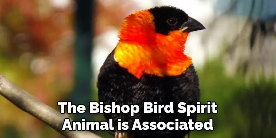 The Bishop Bird Spirit Animal is Associated