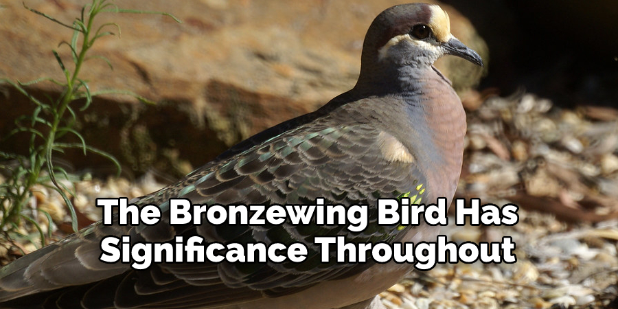 The Bronzewing Bird Has 
Significance Throughout