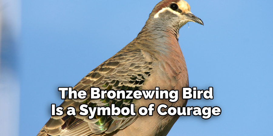 The Bronzewing Bird 
Is a Symbol of Courage