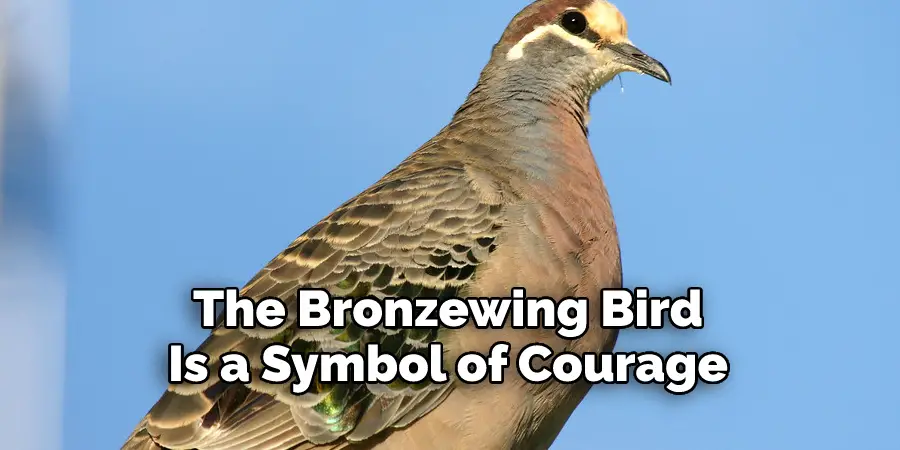 The Bronzewing Bird 
Is a Symbol of Courage