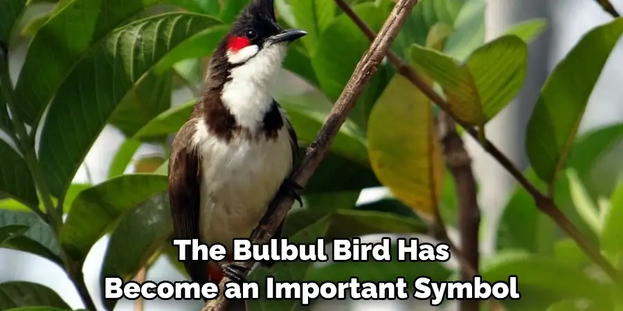 The Bulbul Bird Has Become an Important Symbol