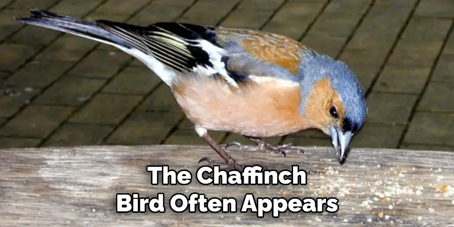 The Chaffinch Bird Often Appears