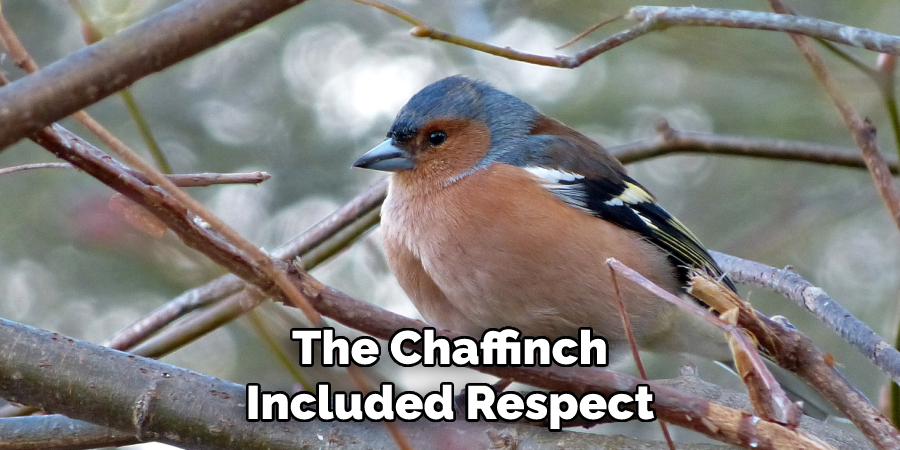 The Chaffinch Included Respect