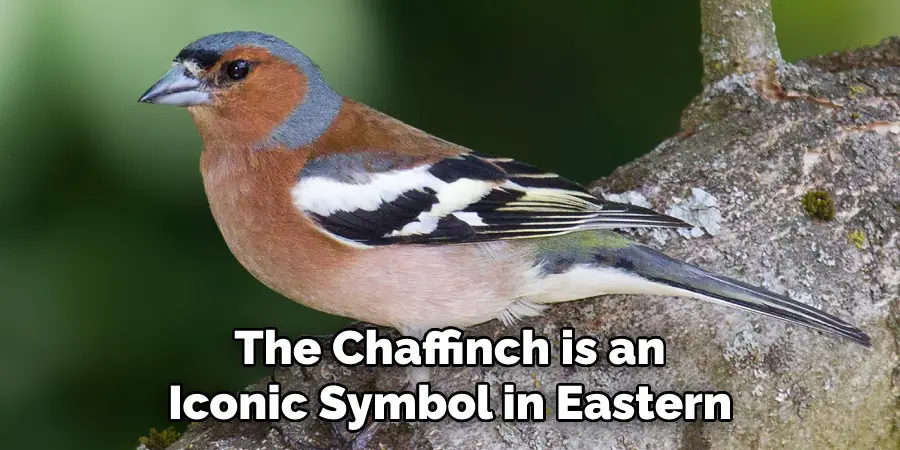 The Chaffinch is an Iconic Symbol in Eastern