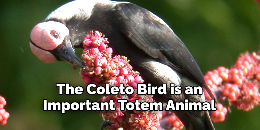 The Coleto Bird is an 
Important Totem Animal 