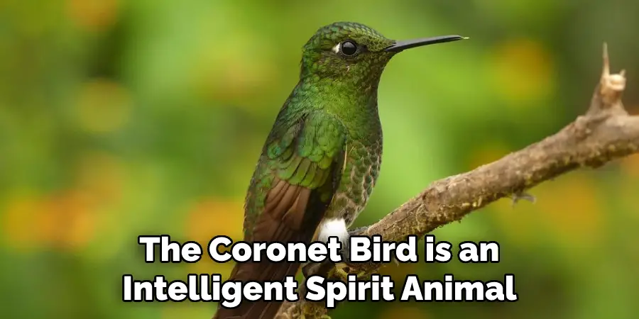 The Coronet Bird is an
Intelligent Spirit Animal