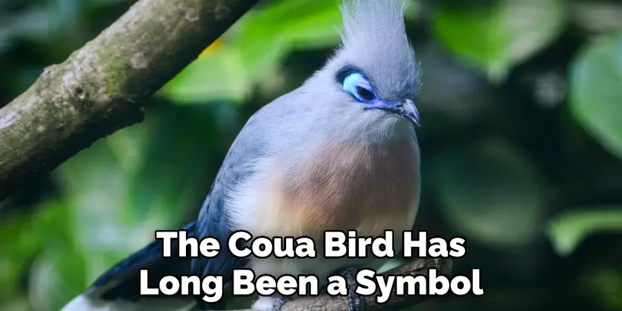 The Coua Bird Has Long Been a Symbol