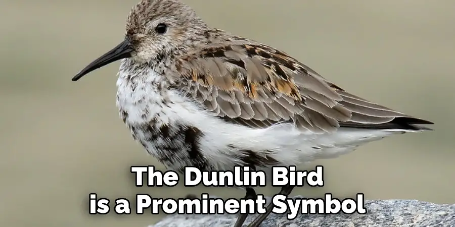 The Dunlin Bird 
is a Prominent Symbol