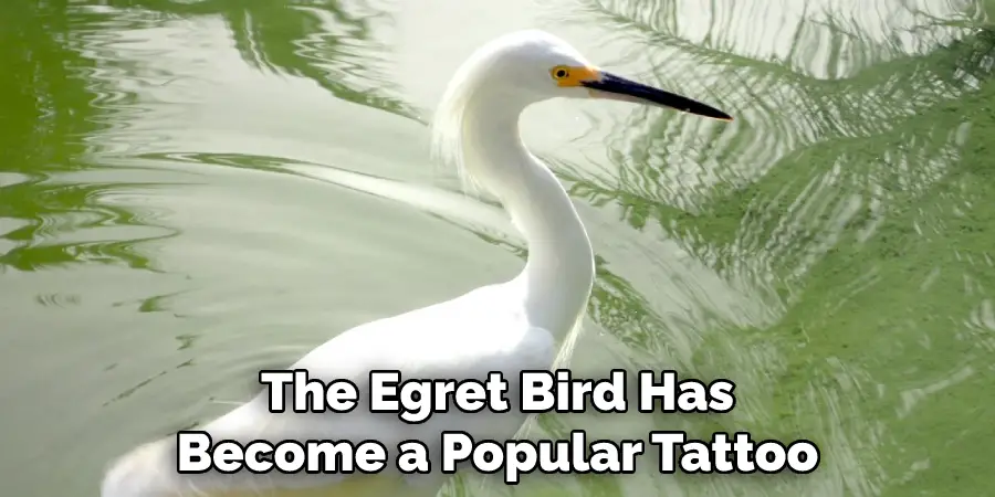 The Egret Bird Has Become a Popular Tattoo
