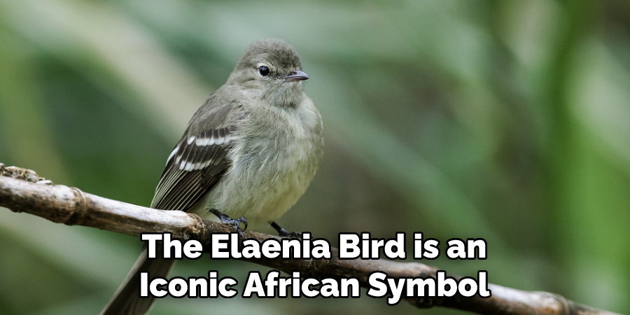 The Elaenia Bird is an Iconic African Symbol