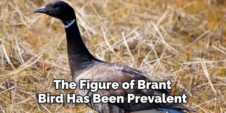 The Figure of Brant 
Bird Has Been Prevalent