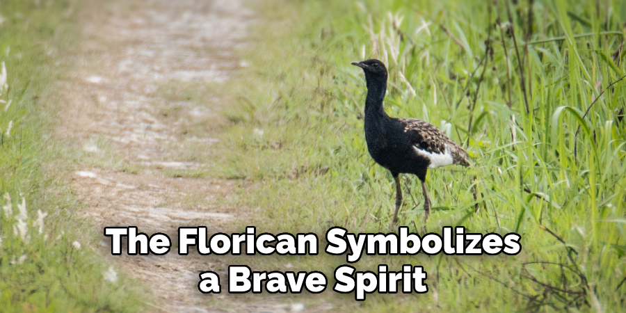 The Florican Symbolizes a Brave Spirit